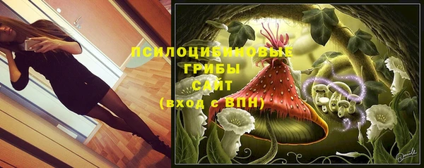 spice Армянск