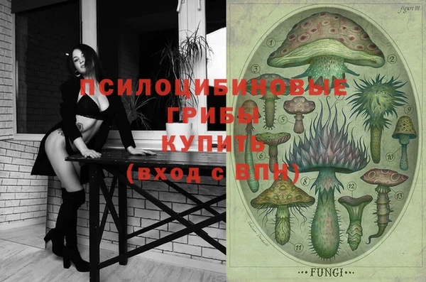 прущий лед Аркадак