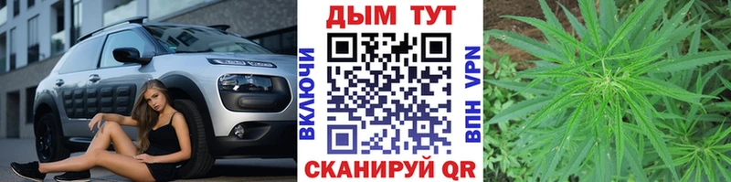 МАРИХУАНА конопля где продают наркотики Сальск
